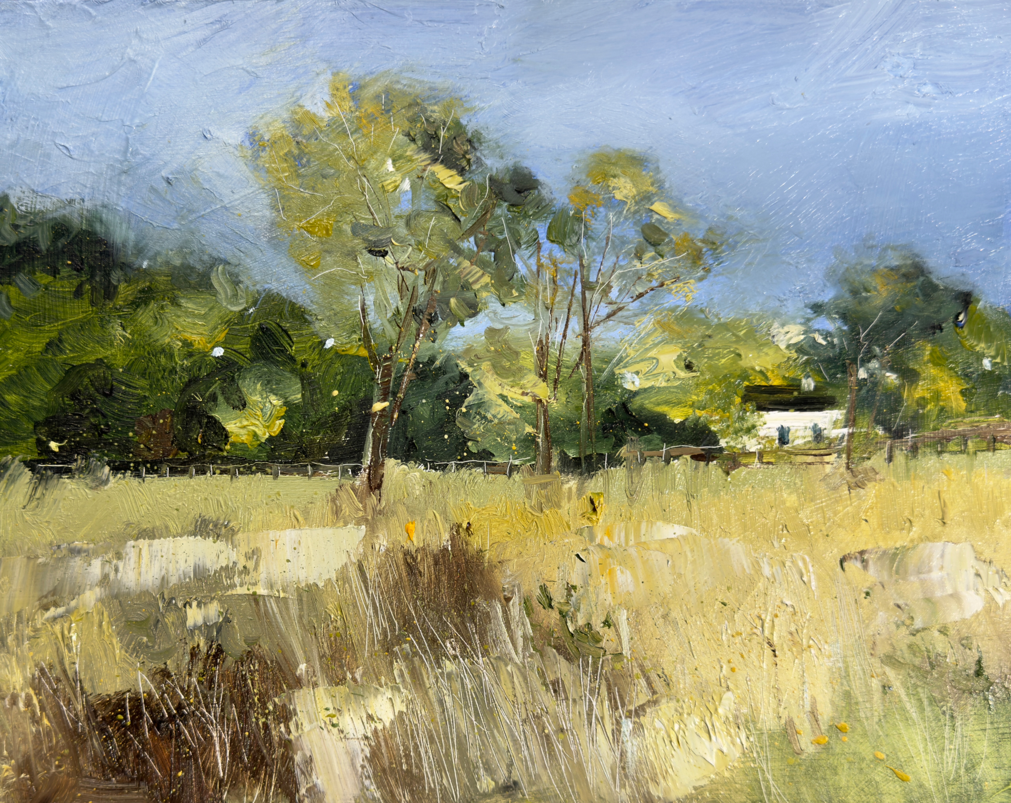 New Day Palisades, part of the Chattahoochee River National Recreation Area. 8" x 10" oil on wood panel. Available.