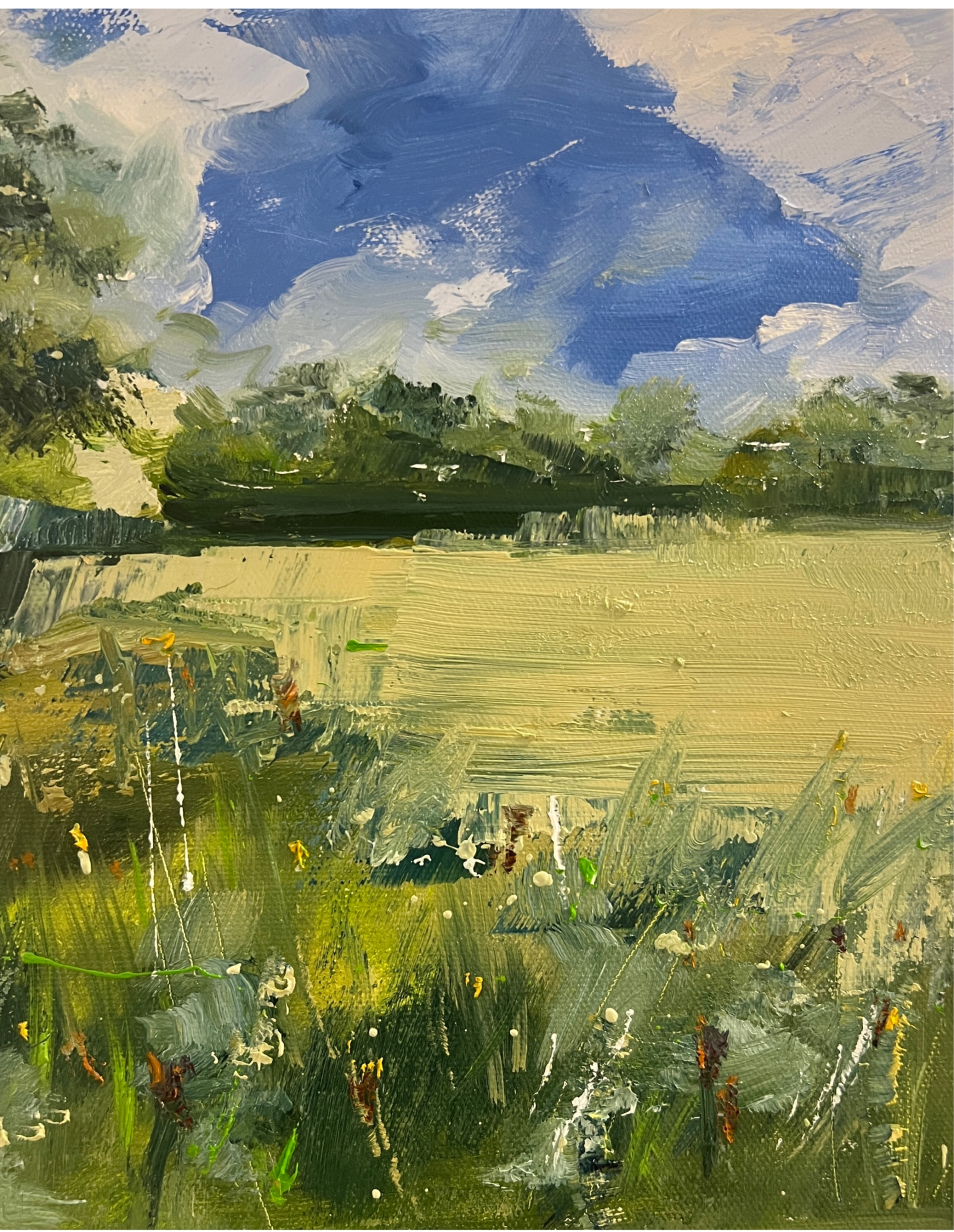 "Kolb Farm Meadow" 8"x10" oil on linen, en plain air. Available.
