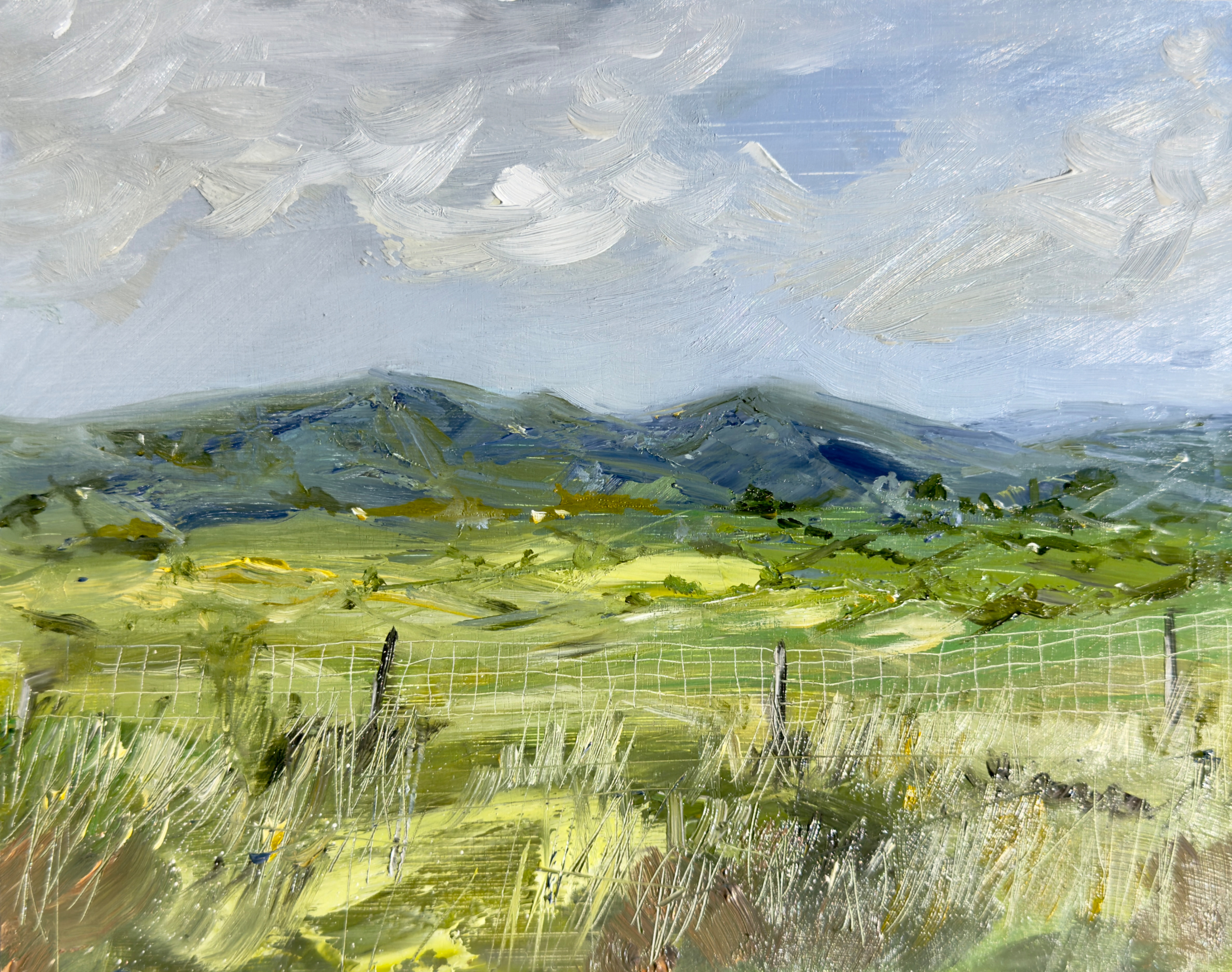 Slieveboy, Co. Wexford, Ireland. 8" x 10" oil on wood panel. Available.