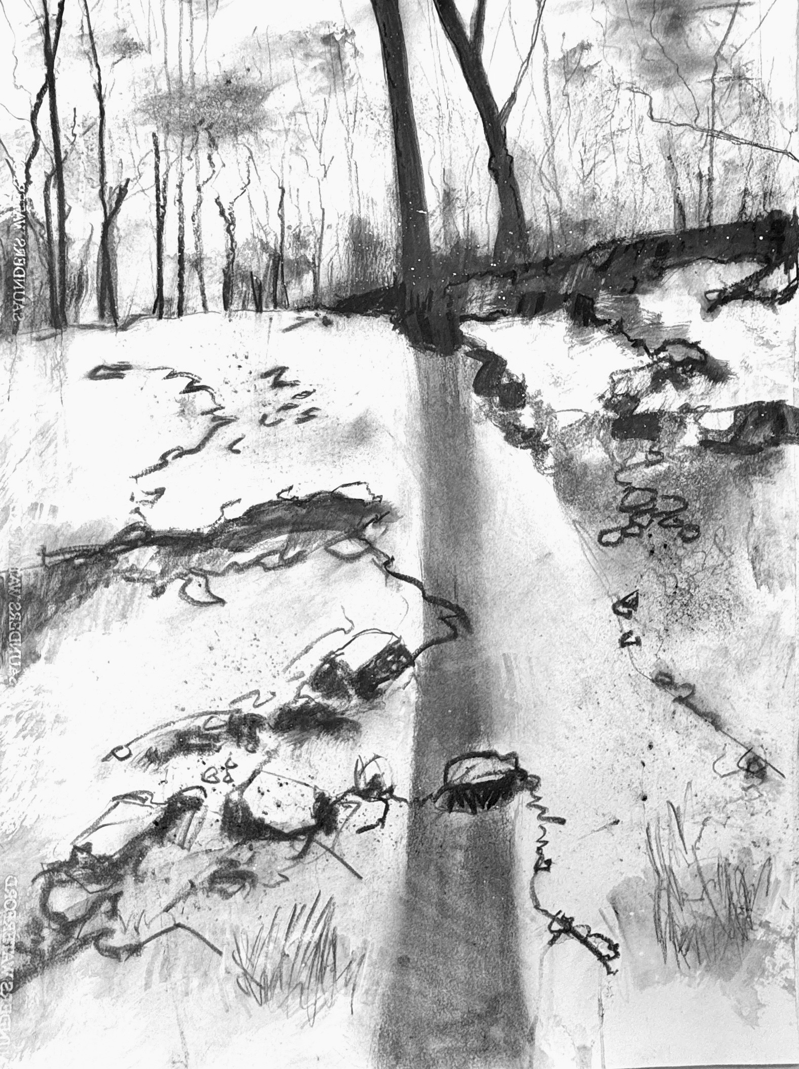 "The Snow Is Falling" III, 22x30 inches, charcoal on Arches 400 lb watercolor paper.