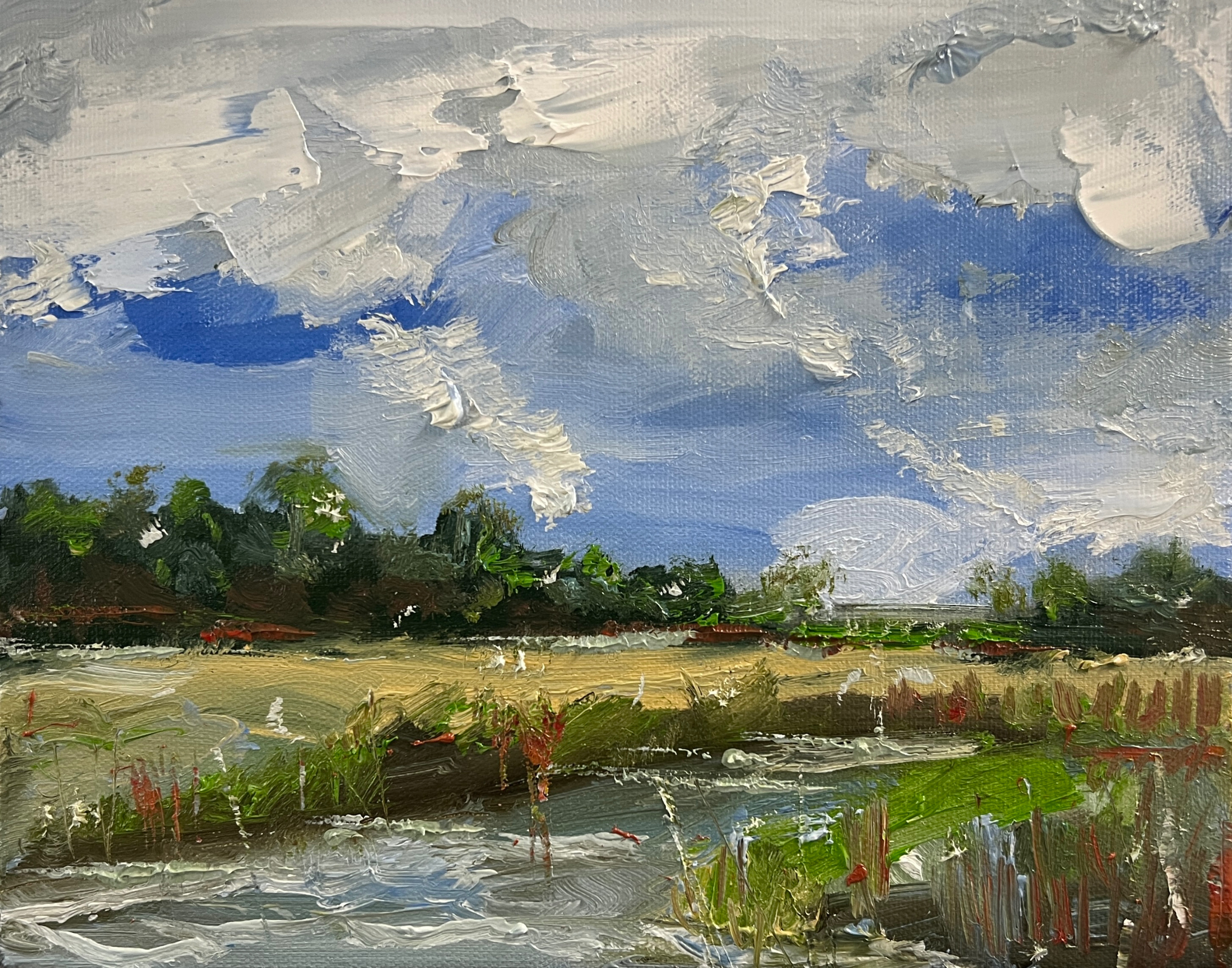 "Jekyll Island" 8"x10" oil on linen, en plain air.