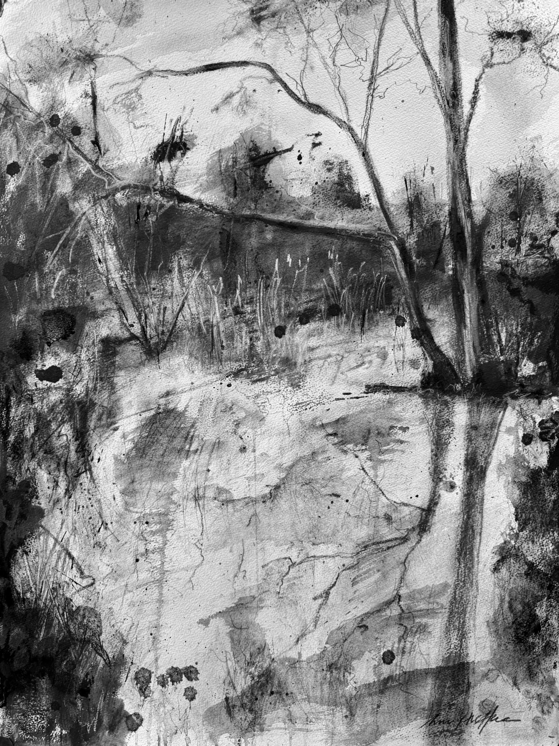 "Morning Reflectioins" 22x30 inches, charcoal on 140 LB Arches watercolor paper.