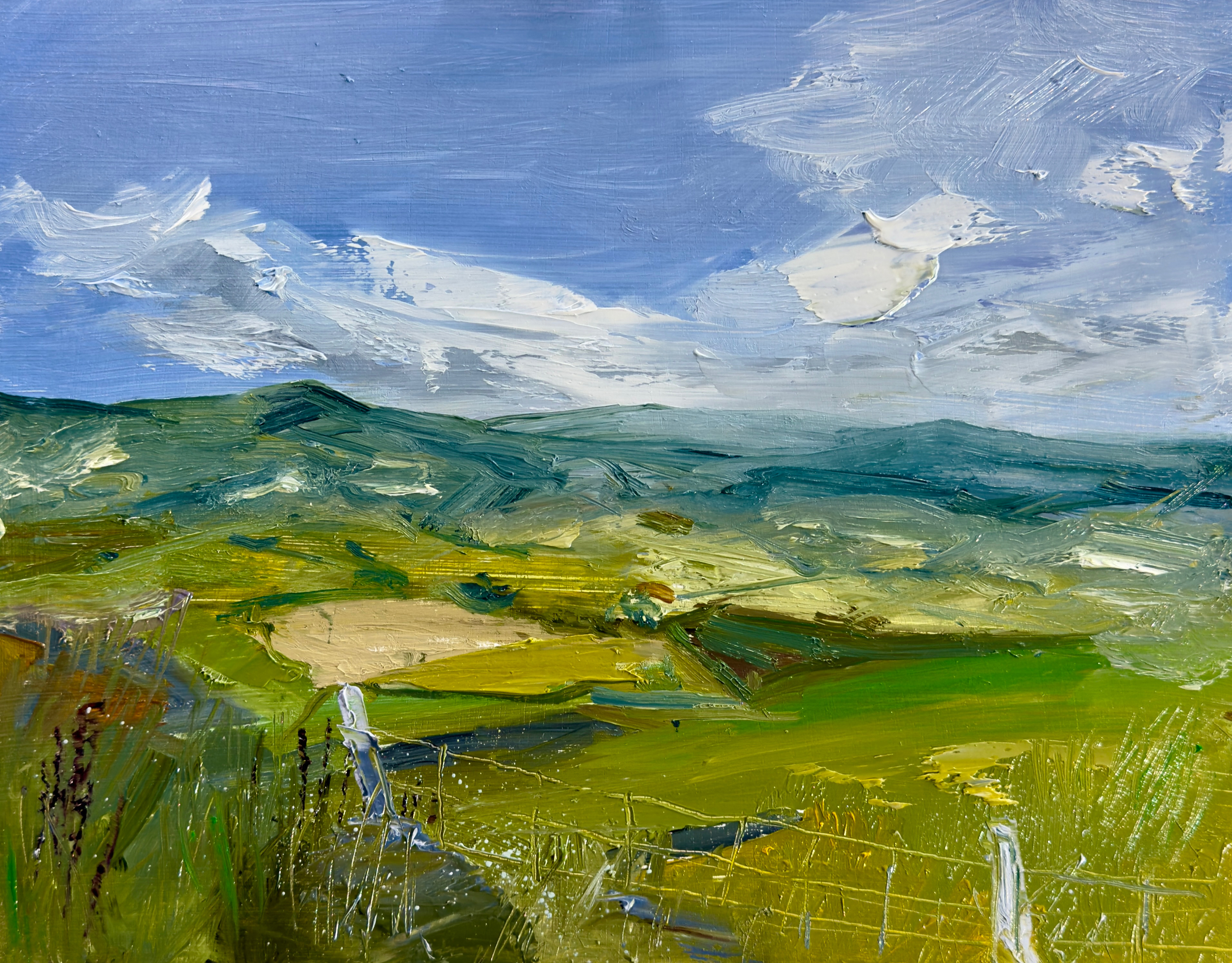Ballyduff, Ferns, Co. Wexford, Ireland. 8" x 10", oil on wood panel. Available.