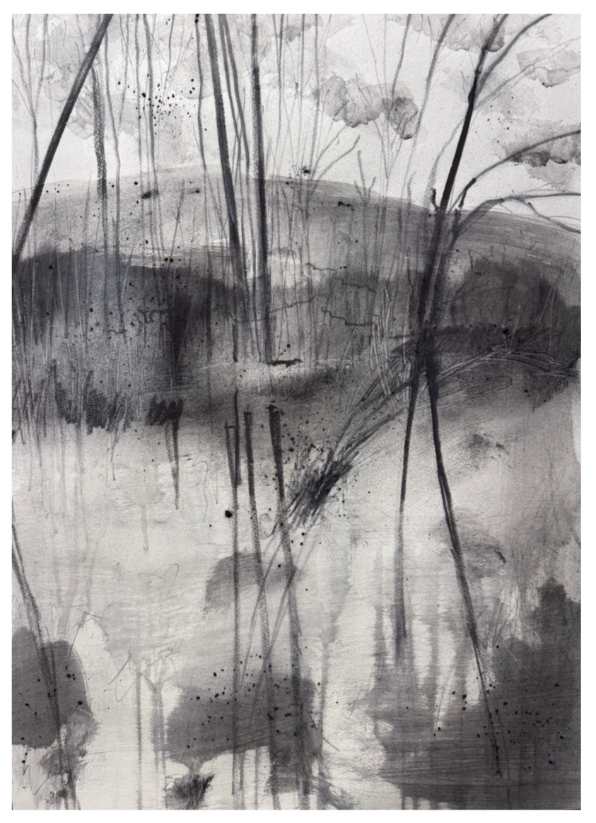 "The Banks" A series of drawings and paintings. 22x30" Charcoal on Arches Watercolor paper.